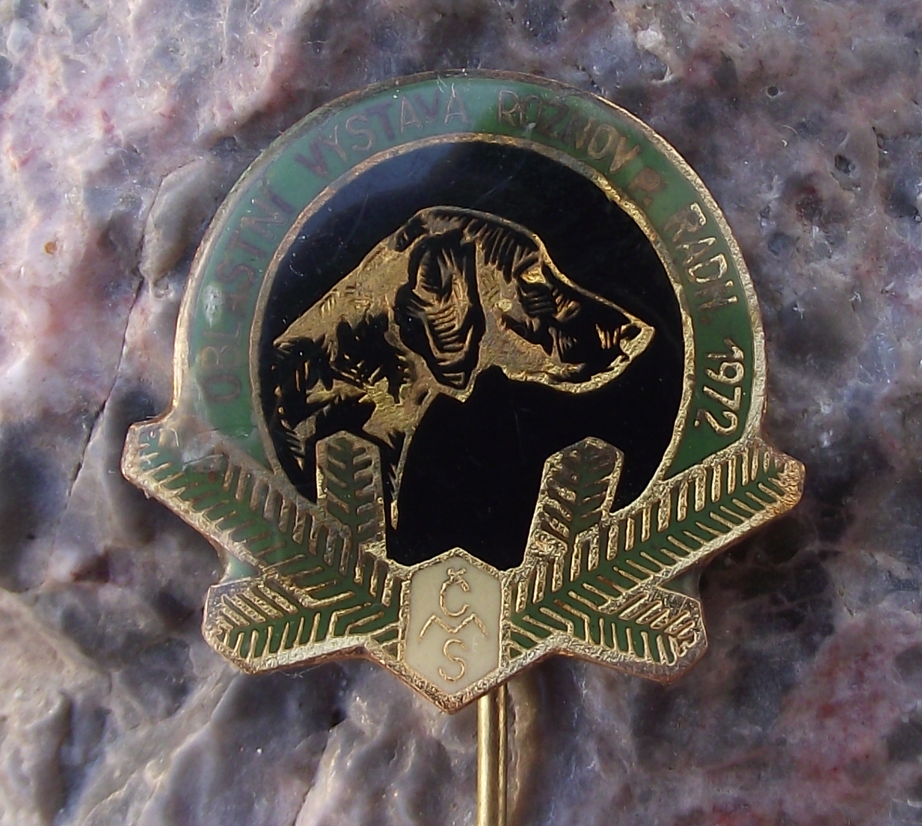 Vintage 1972 Czech Hunting Dog Show Pin Badge Roznov pod Radhostem CMS Pointer