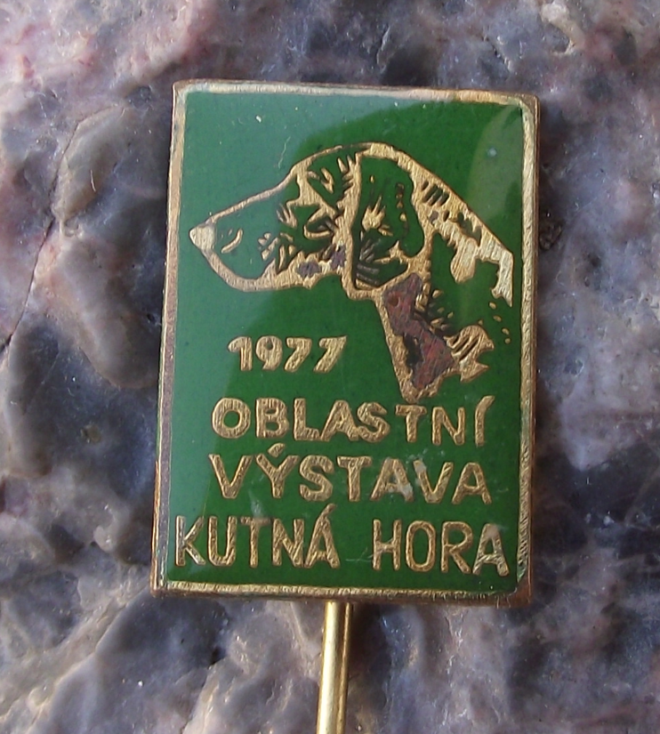 Vintage 1977 Czech Hunting Dog Show Pin Badge Kutna Hora Enamel Pointer Hound