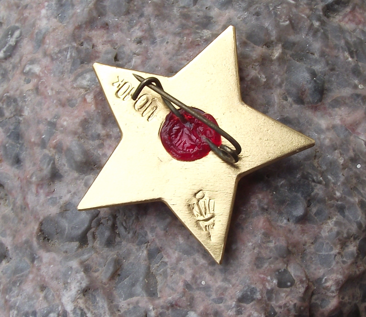 Vintage Little Octobrist Child Lenin Red Star Association Members Pin Badge