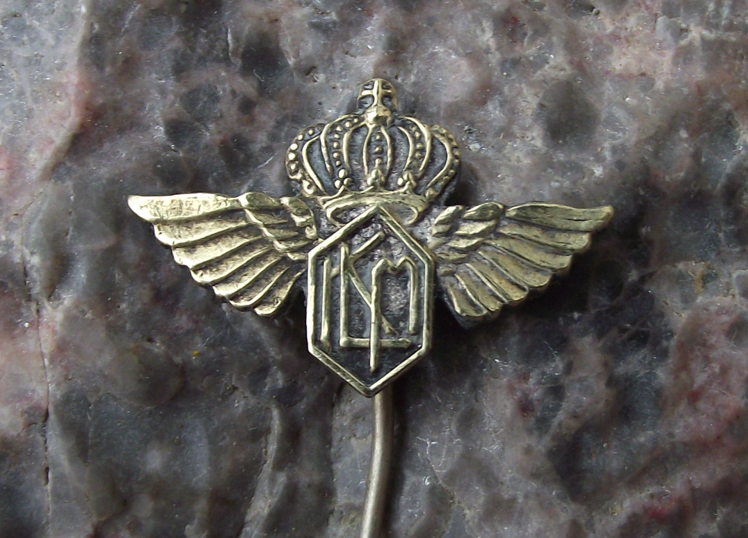 Vintage 1950s KLM Dutch Airlines Winged Logo Netherlands Holland Pin Badge