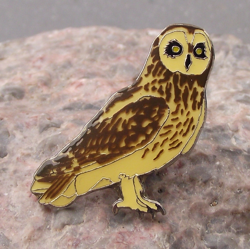 North American Short Eared Owl Bird of Prey Raptor Wildlife Brooch Pin Badge