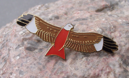 Red Kite Milvus European Bird of Prey Brooch Raptor Pin Badge