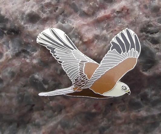 Western Marsh Harrier Hawk Eagle Raptor US Bird of Prey Pin Badge