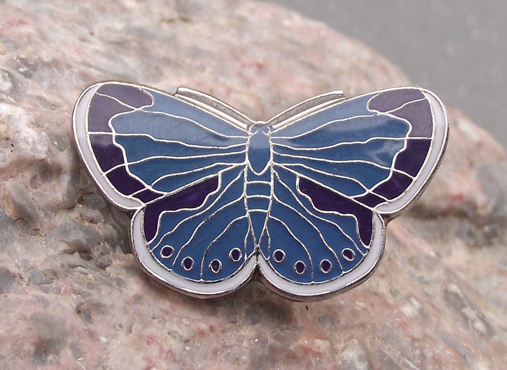 North American Blue Butterfly Lycaenidae Insect Pin Badge