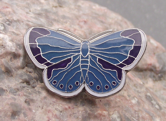 North American Blue Butterfly Lycaenidae Insect Pin Badge