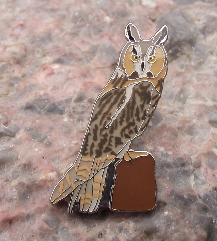 North America Long Eared Owl Bird of Prey Perched Raptor Brooch Pin Badge