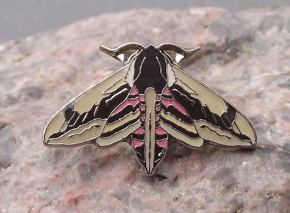 Privet Hawk Moth Sphinx ligustri Butterfly Hawkmoth Wildlife Pin Badge