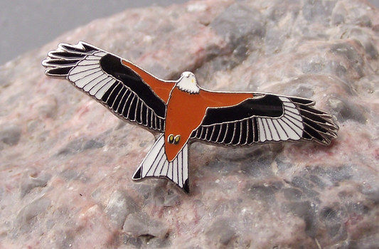 Red Kite Milvus European Bird of Prey Brooch Raptor Wildlife Pin Badge