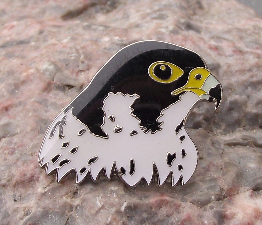 North American Peregrine Falcon Head Duck Hawk Raptor Bird of Prey Pin Badge