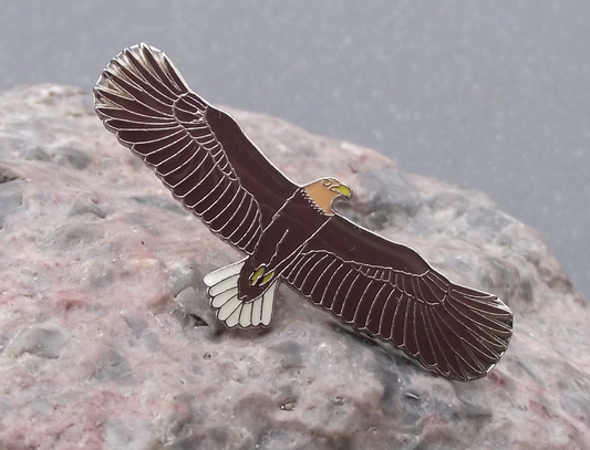 White Tailed Eagle Wildlife Bird of Prey Sea Raptor Brooch Pin Badge