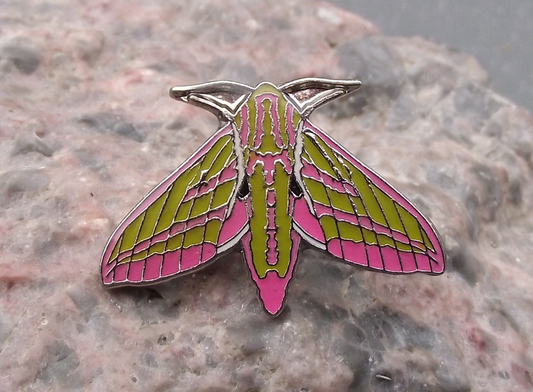 Elephant Hawk Moth Deilephila elpenor Butterfly Hawkmoth Pin Badge