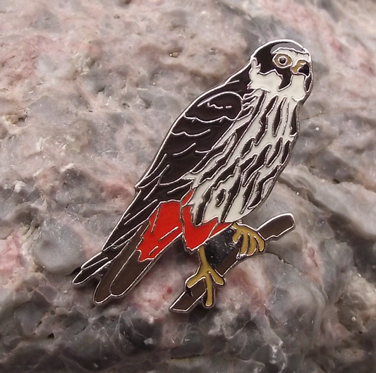 Hobby Falco Swift Falcon Eagle Hawk Raptor Prey Bird Perching Pin Badge