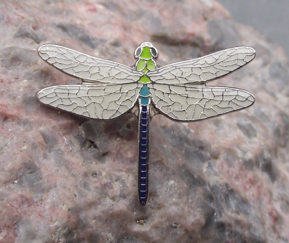 American Emperor Hawker Dragonfly Amazing Flying Insect Pin Badge