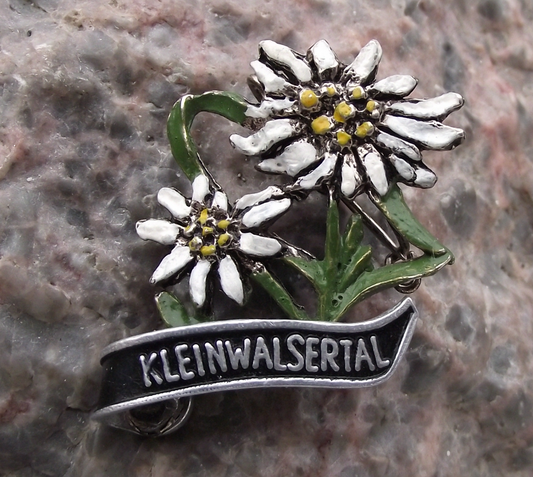 Vintage Kleinwalsertal Austria Hand Painted Edelweiss Flowers Hunting Pin Badge