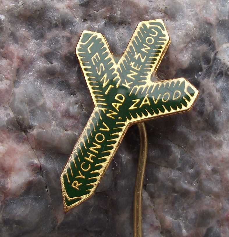 Vintage Rychnov nad Kneznou State Forestry Commission Hunters Pin Badge