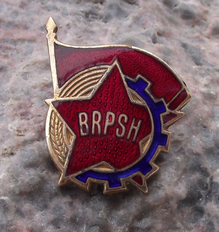 Vintage BRPSH Albania Communist Labour Youth Red Flag Pin Badge