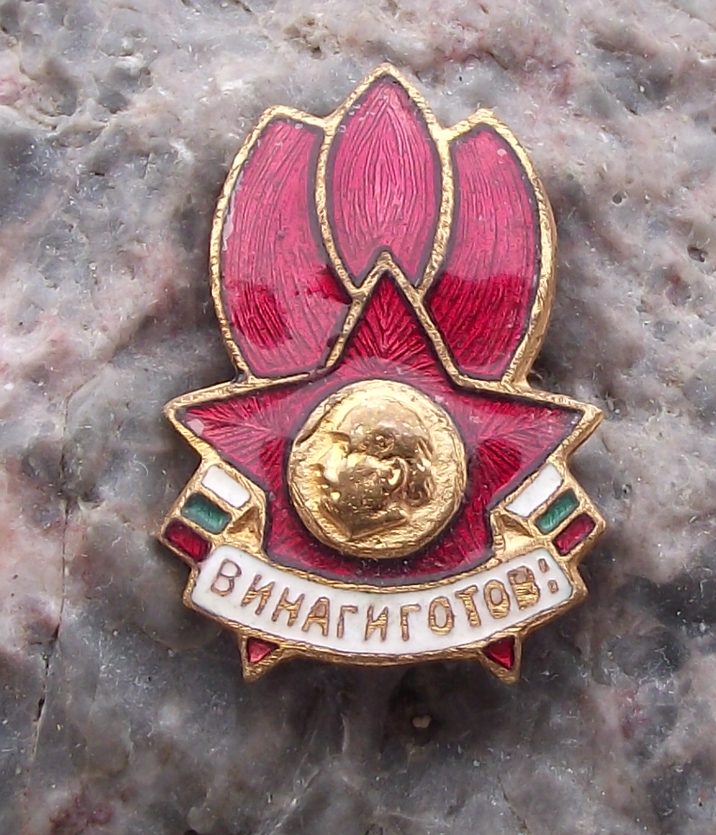 Vintage Bulgaria Dimitrovist Pioneer Organization Communist Youth Pin Badge