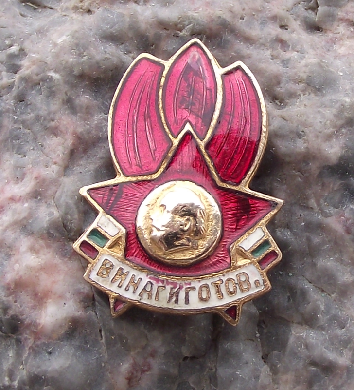 Vintage Bulgaria Dimitrovist Pioneer Organization Communist Youth Pin Badge