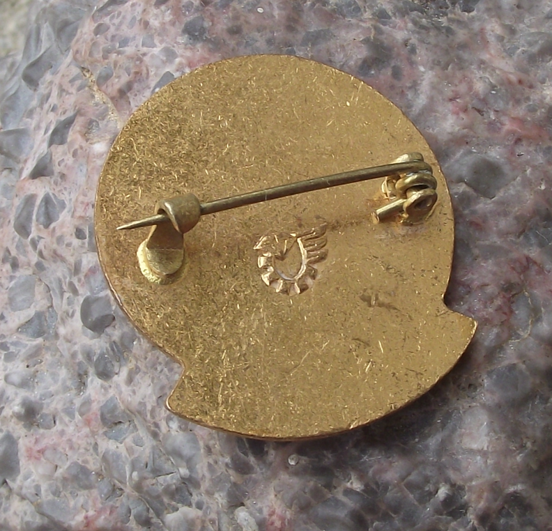 Young Technician Czechoslovakia Youth Pioneer Technical Award Pin Badge Blue