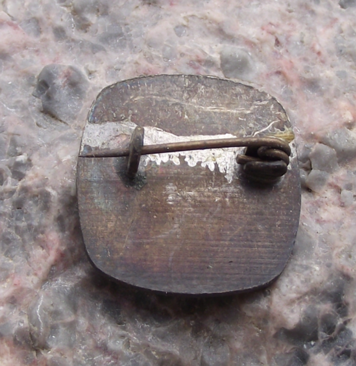 Vintage Czechoslovakia Pioneer Youth Group For Exemplary Work Award Pin Badge