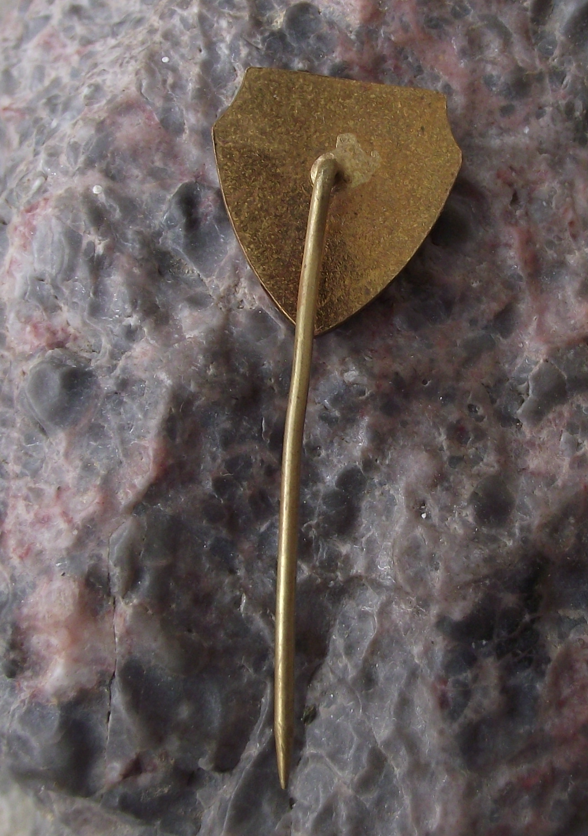 Vintage Zetor Brno Ice Hockey Czech Team Shield and Stick Logo Pin Badge