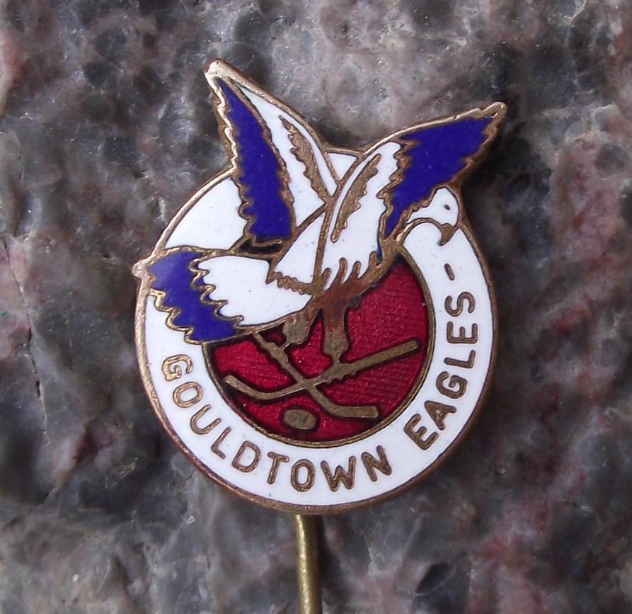 Vintage Gouldtown Eagles Former NHL Ice Hockey Pin Badge