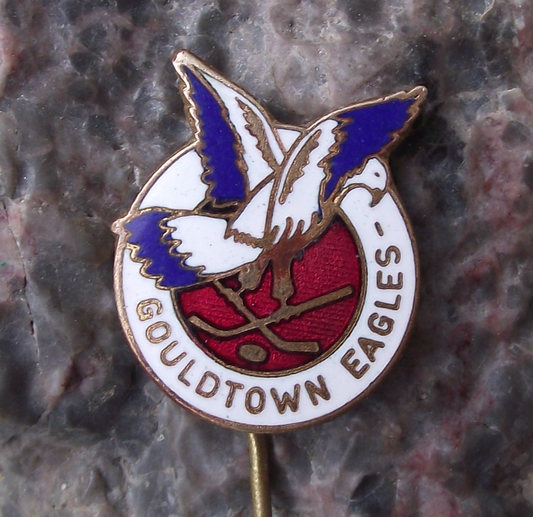 Vintage Gouldtown Eagles Former NHL Ice Hockey Pin Badge