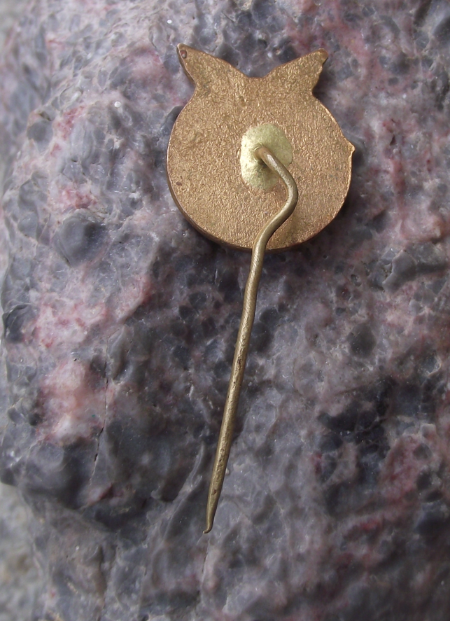 Vintage Gouldtown Eagles Former NHL Ice Hockey Pin Badge