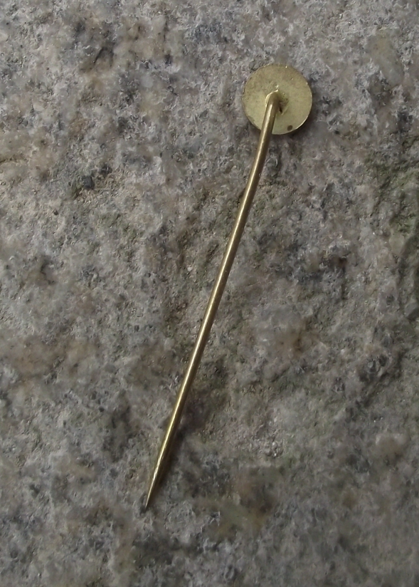 Tatra Car & Truck Maker Czech Motor Vehicle Advertising Logo Pin Badge - Badgecrazy