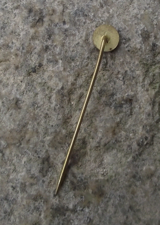 Tatra Car & Truck Maker Czech Motor Vehicle Advertising Logo Pin Badge - Badgecrazy