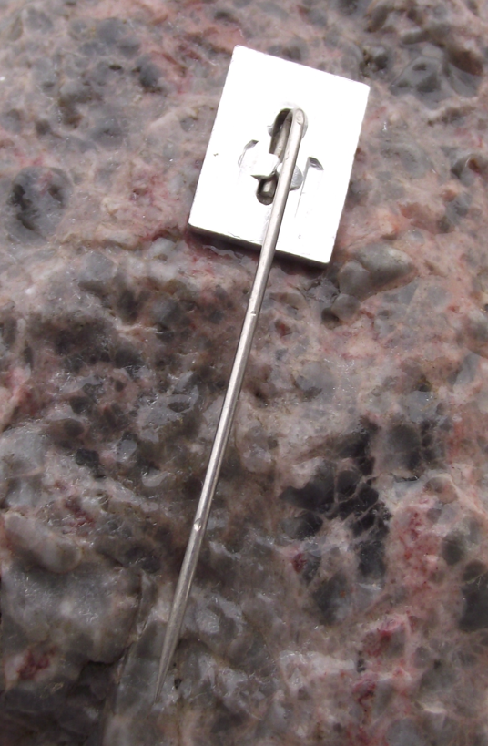 Vintage East Germany WB Waggonbau Bautzen Railway Train Wagon Maker Pin Badge