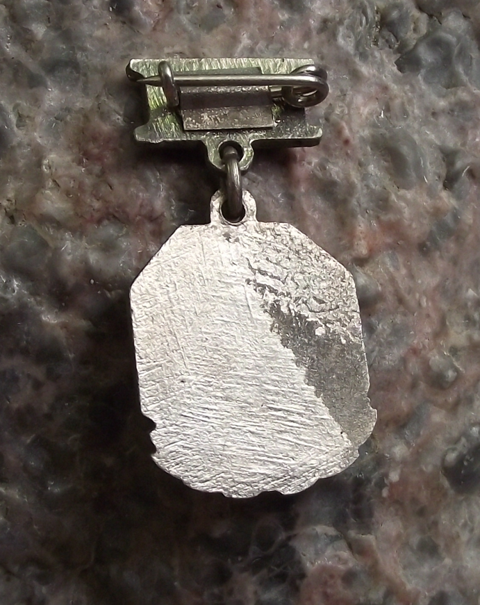 Vintage 3D Lenin Head on Laurel Leaves Medal Style Pin Badge