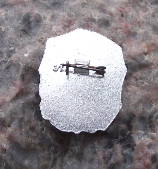 Vintage Ivan Franko Ukrainian Poet Writer Political Activist Pin Badge