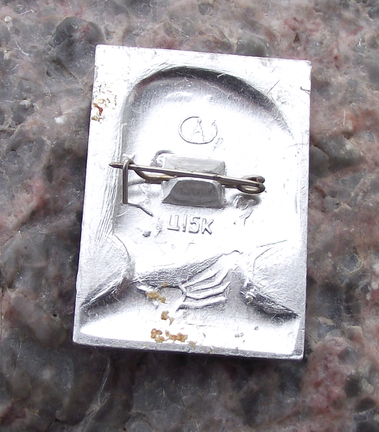 Vintage Vissarion Belinsky Russian Literary Critic and Editor Pin Badge