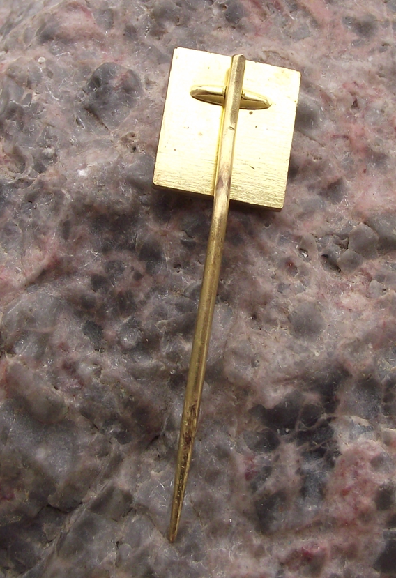 Vintage Tesla IE Praha Pin Badge