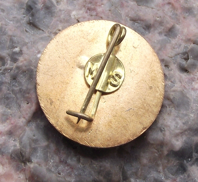 Vintage GUSIR General Union of Iraq Students IUS Member Pin Badge