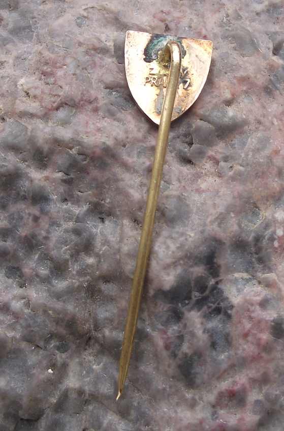 Vintage Třebíč Trebitz Czechoslovakia Moravia City Coat of Arms Pin Badge