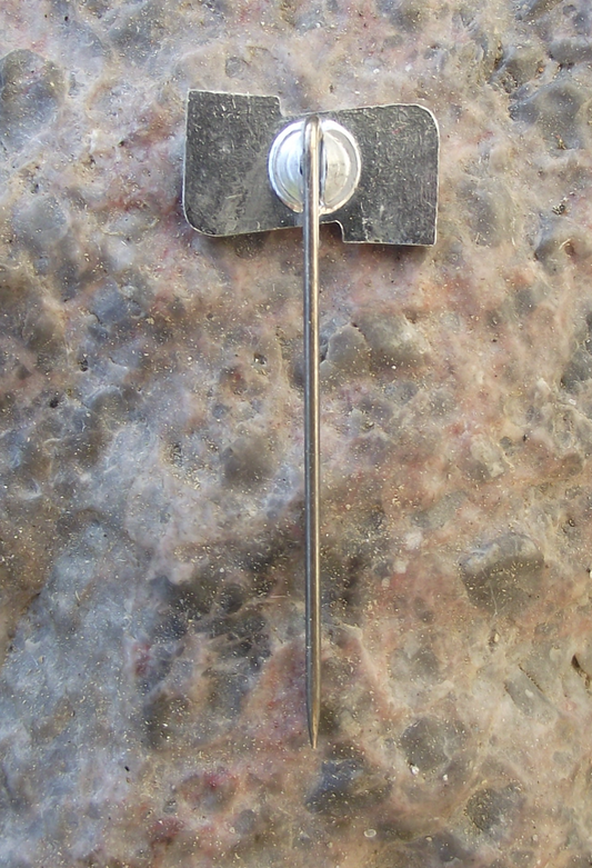 Vintage Nagel Technologies Firm Pin Badge