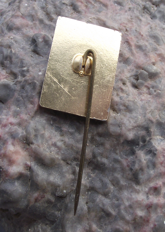1974 Solingen Germany German City 600th Anniversary Gerburtstag Pin Badge