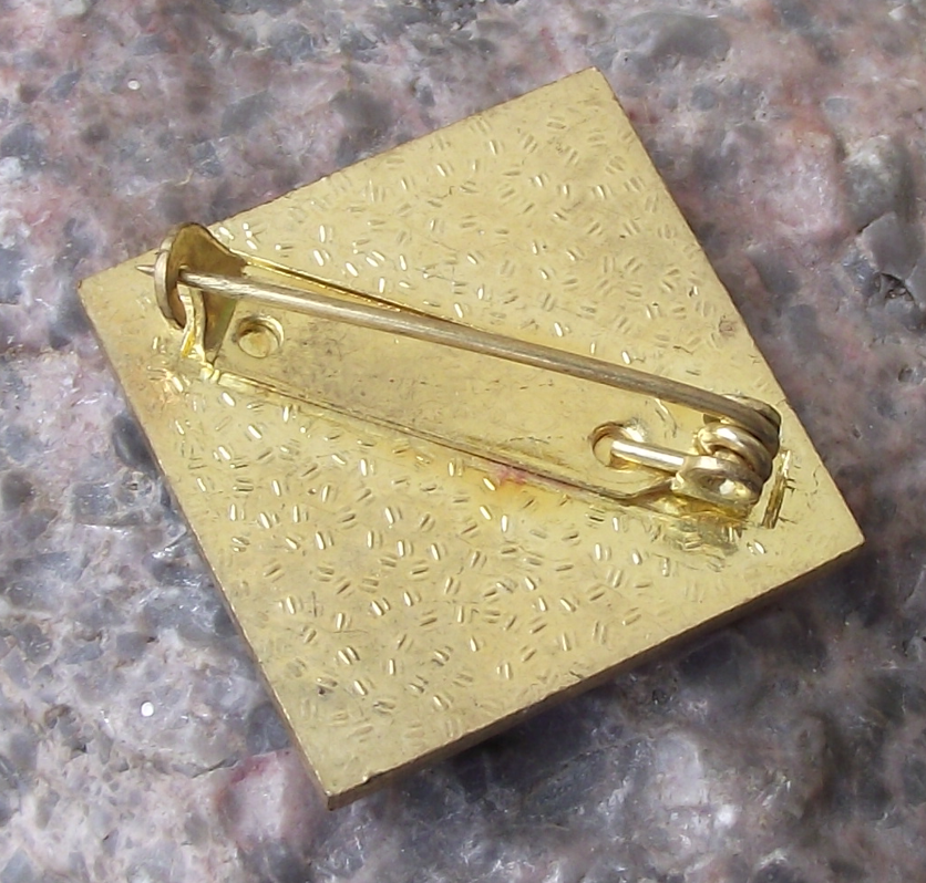 Vintage Czech Pioneer Pionyr Youth Camp Slalom Skiing ROH Pin Badge