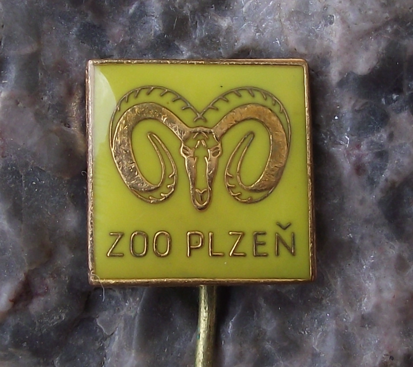 Vintage Plzen Zoo Rare Endangered Mouflon Wild Mountain Sheep Park Pin Badge