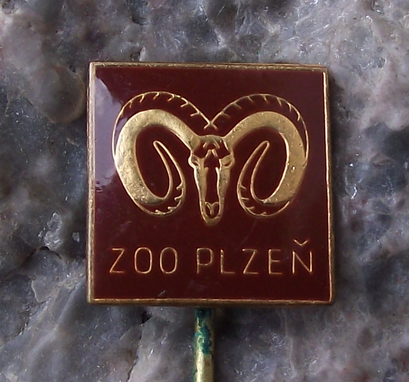 Vintage Plzen Zoo Rare Endangered Mouflon Wild Mountain Sheep Park Pin Badge