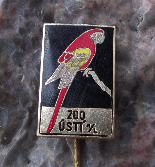 Vintage Usti nad Labem Zoo Blue Green African Macaw Parrot Bird Pin Badge