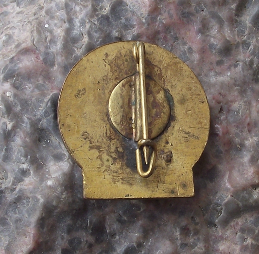Vintage WFDY World Federation Democratic Youth Official Logo Pin Badge
