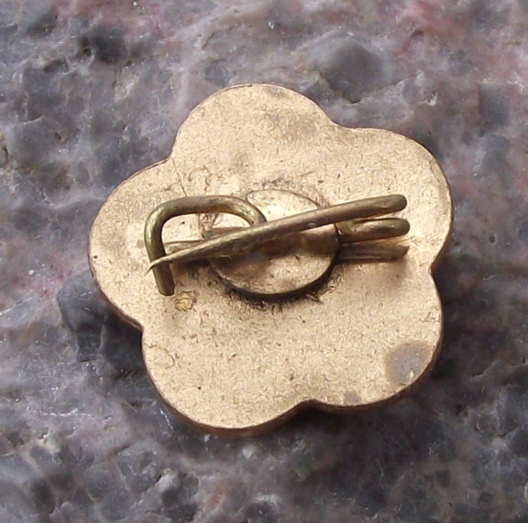 1959 WFDY 7th World Youth Festival Vienna Austria Flower Logo France Pin Badge