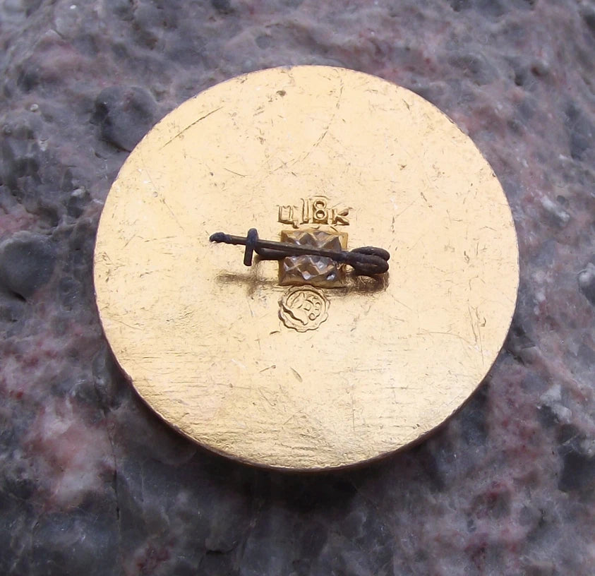Vintage Kherson Ukraine Port Shipyard Dnipro River Sailing Ship Pin Badge