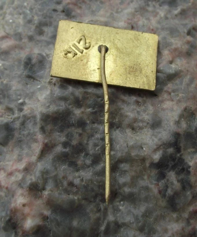 Vintage Vilnius Capital City Lithuania Famous Tourist Sights Souvenir Pin Badge