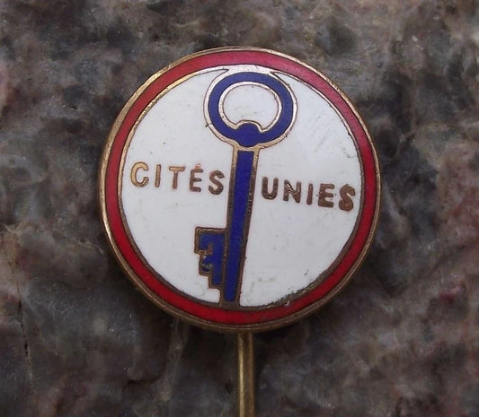 Vintage CITES UNIES France French Community Global Assistance Pin Badge