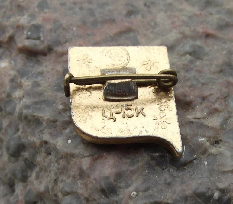 1980 Lenin Head Russian 110th Anniversary Soviet Communist Leader Pin Badge