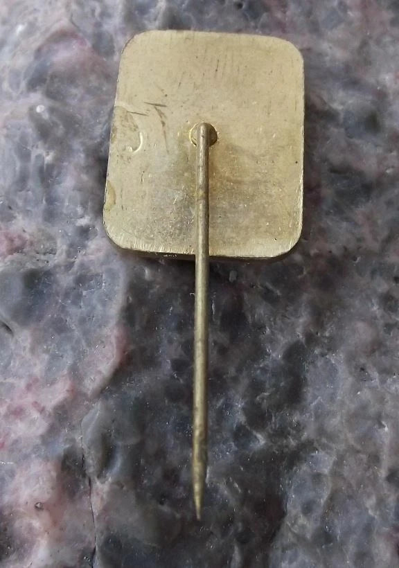 Vintage TJ Skoda Czechoslovakia Ice Hockey Team Sticks Logo Pin Badge